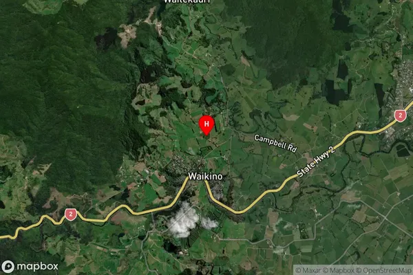 Waikino, Waikato Satellite Map