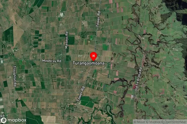 Turangaomoana, Waikato Satellite Map