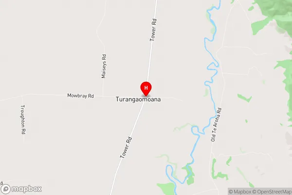 Turangaomoana, Waikato Region Map