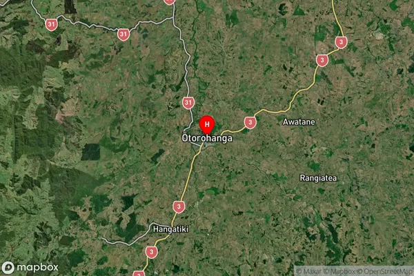 Otorohanga, Waikato Satellite Map