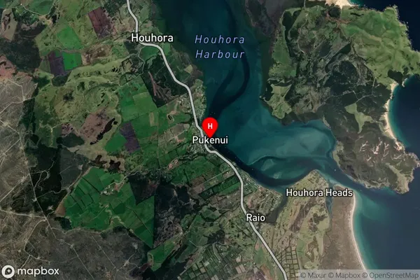 Pukenui, Northland Satellite Map