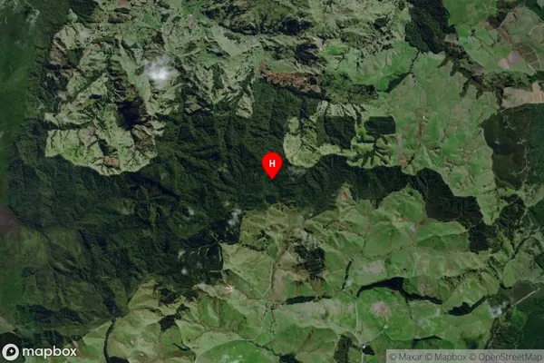 Pukewharariki, Northland Satellite Map