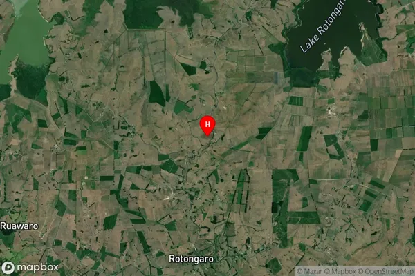 Rotongaro, Waikato Satellite Map