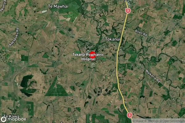 Tokanui, Waikato Satellite Map