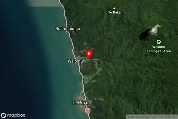 Waiomu, Waikato Satellite Map