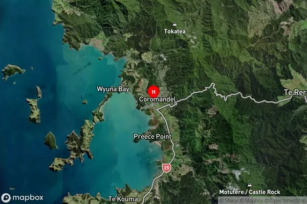 Thames-Coromandel, Waikato Satellite Map