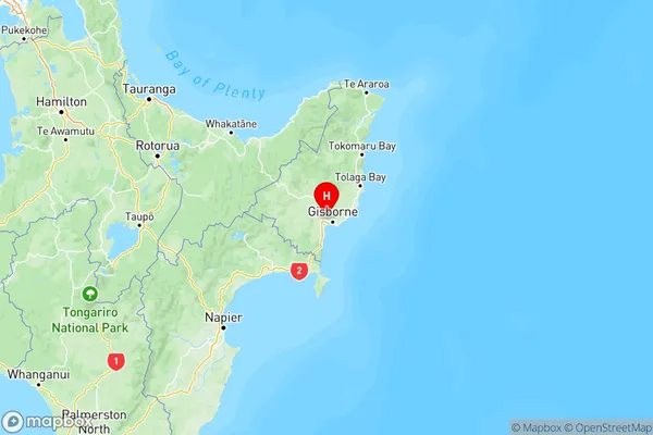 Makauri, Gisborne Region Map