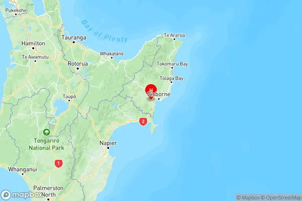 Manutuke, Gisborne Region Map