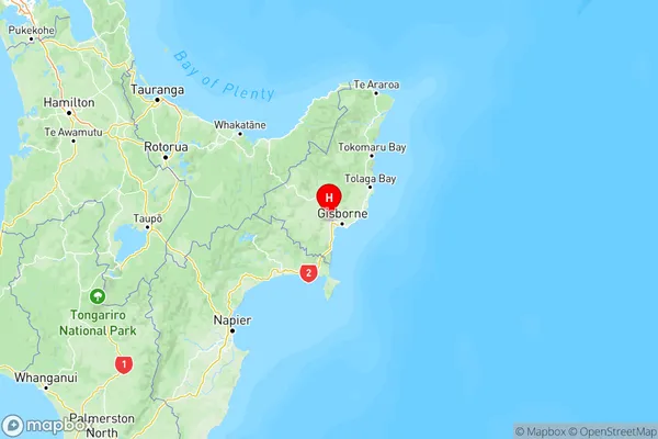 Patutahi, Gisborne Region Map