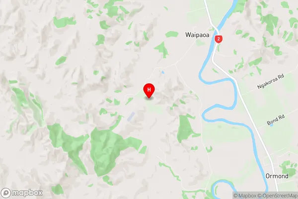 Waipaoa, Gisborne Region Map