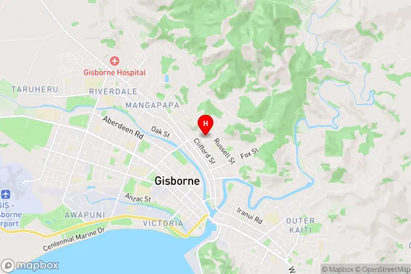 Whataupoko, Gisborne Region Map