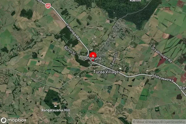 Ohakune, Central North Island Satellite Map