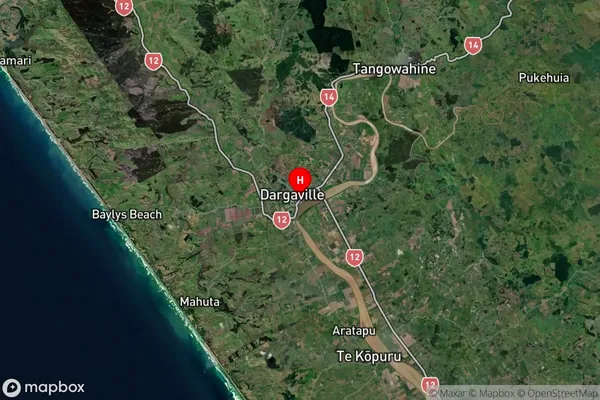 Dargaville, Northland Satellite Map