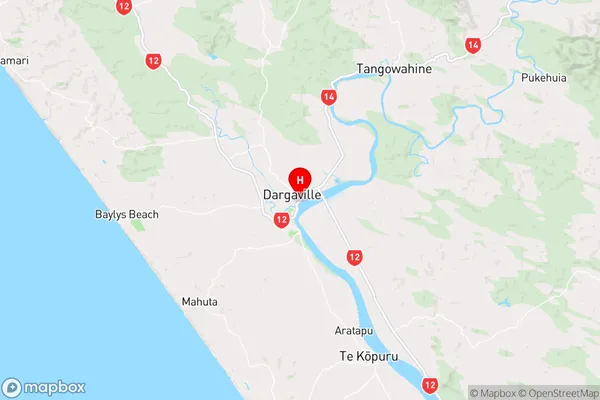 Dargaville, Northland Region Map