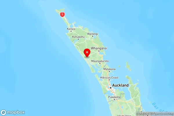 Dargaville, Northland Region Map