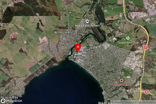 Lake Taupo (West), Central North Island Satellite Map