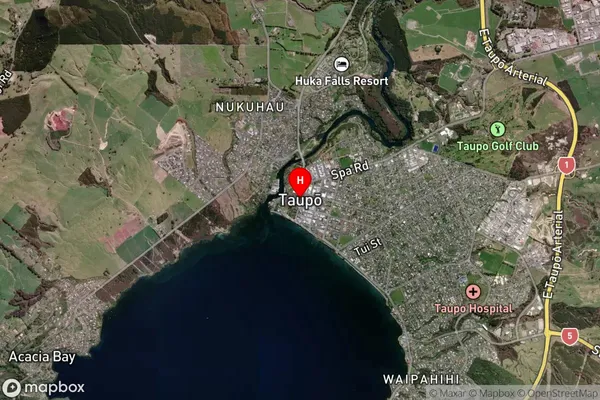 Taupo, Waikato Satellite Map