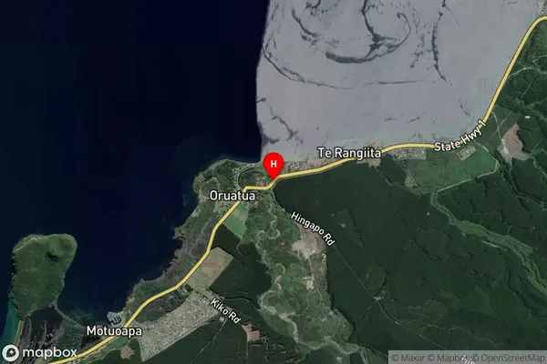 Te Rangiita, Central North Island Satellite Map