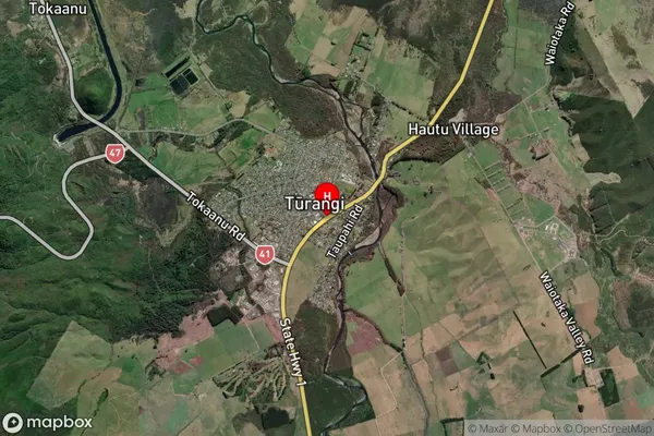 Turangi, Central North Island Satellite Map