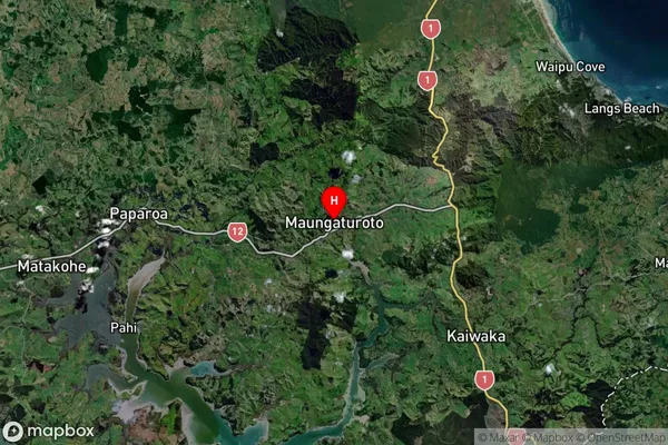 Maungaturoto, Northland Satellite Map