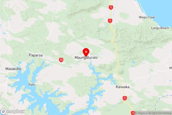 Maungaturoto, Northland Region Map