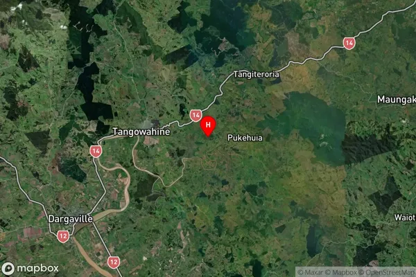 Tangiteroria, Northland Satellite Map