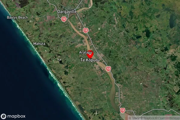 Te Kopuru, Northland Satellite Map