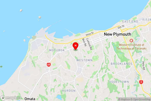 Lynmouth, Taranaki Region Map