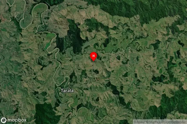 Tarata, Taranaki Satellite Map