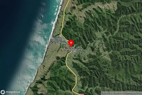 Tongaporutu, Taranaki Satellite Map